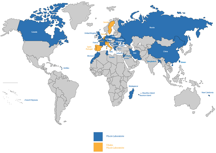 map-monde-pileje-grand